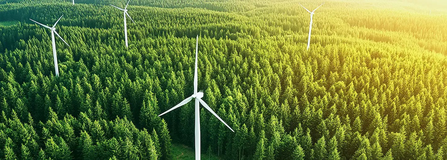 Windkraftanlagen stehen inmitten eines dichten grünen Waldes unter Sonnenlicht, von oben betrachtet.