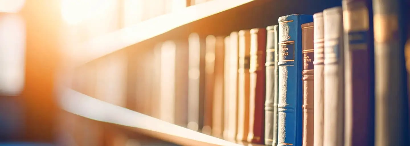 A row of books with textured spines on a sunlit bookshelf, with warm sunlight streaming in from the left, creating a soft, inviting atmosphere.